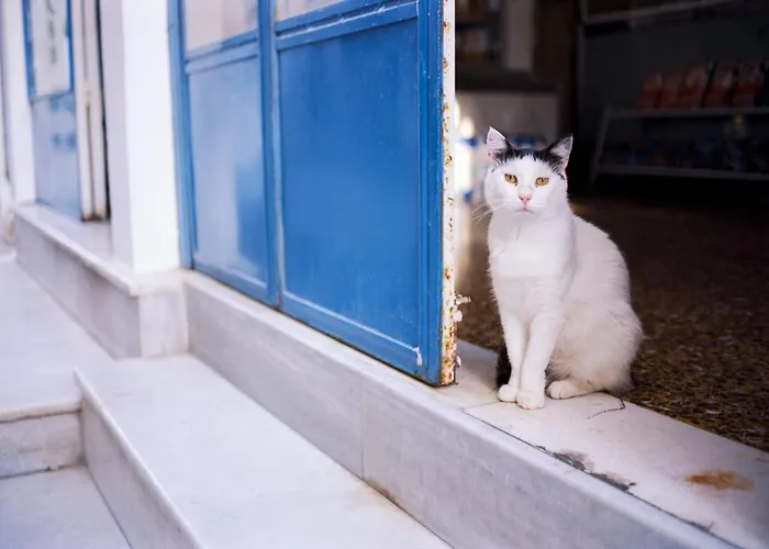 Beautiful Paros 1 Bedroom The Calming Wonderful Sea Views * Livadia (Paros)